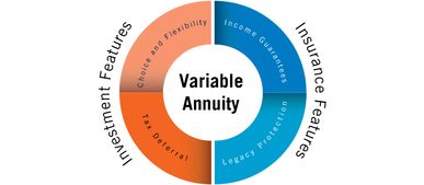 解码财经 美国年金产品剖析与社会经济咨询服务