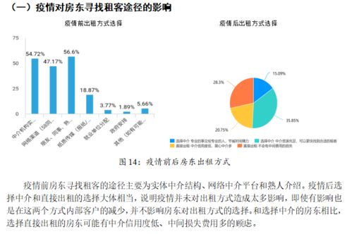 社会经济咨询服务——经济与管理学院暑期社会实践风采拾粹（十三）
