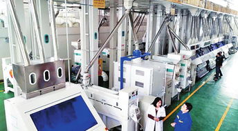 绥化经济社会发展稳中向好 社会经济咨询服务的赋能之路